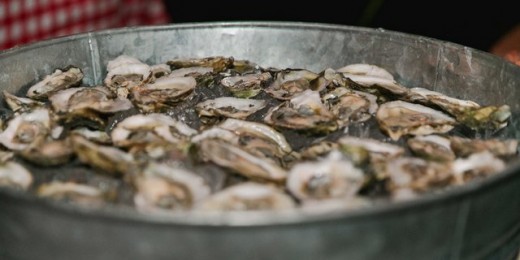 Oysters Bucket